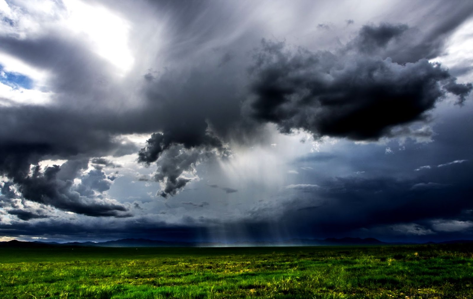 Rain Cloud Rain Cloud