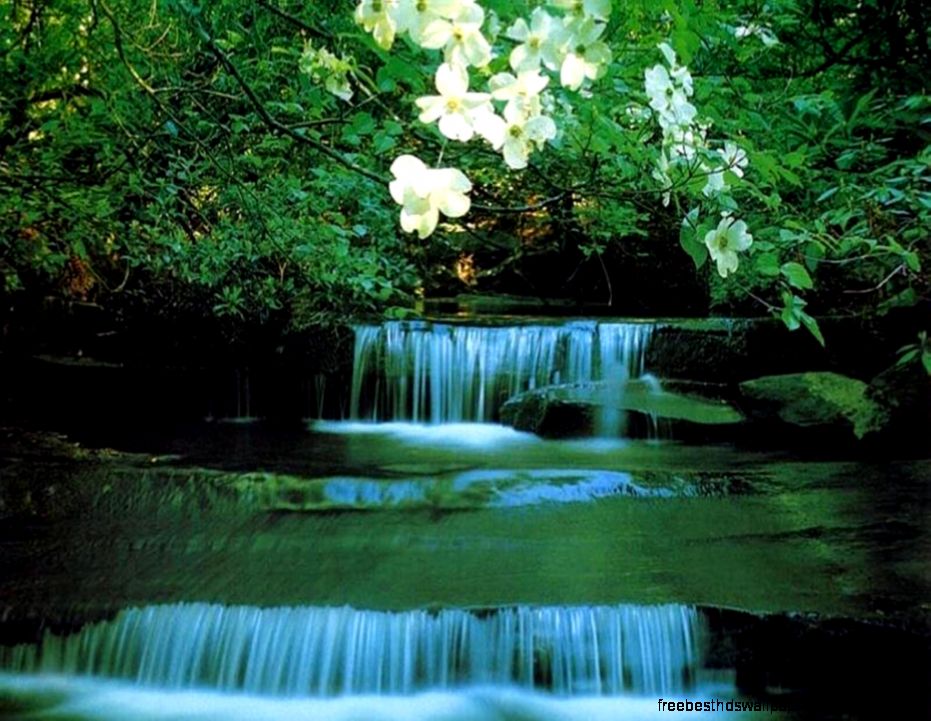 Waterfall Desktop Wallpaper Free Download Waterfall Desktop Wallpaper Free Download