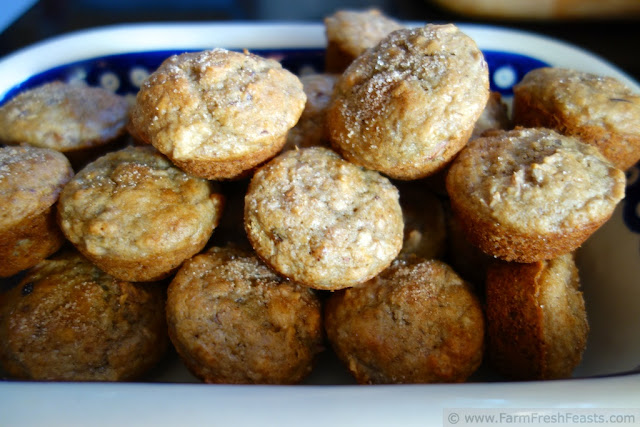 Cranberry Apple Pecan Tangerine Mini Muffins | Farm Fresh Feasts