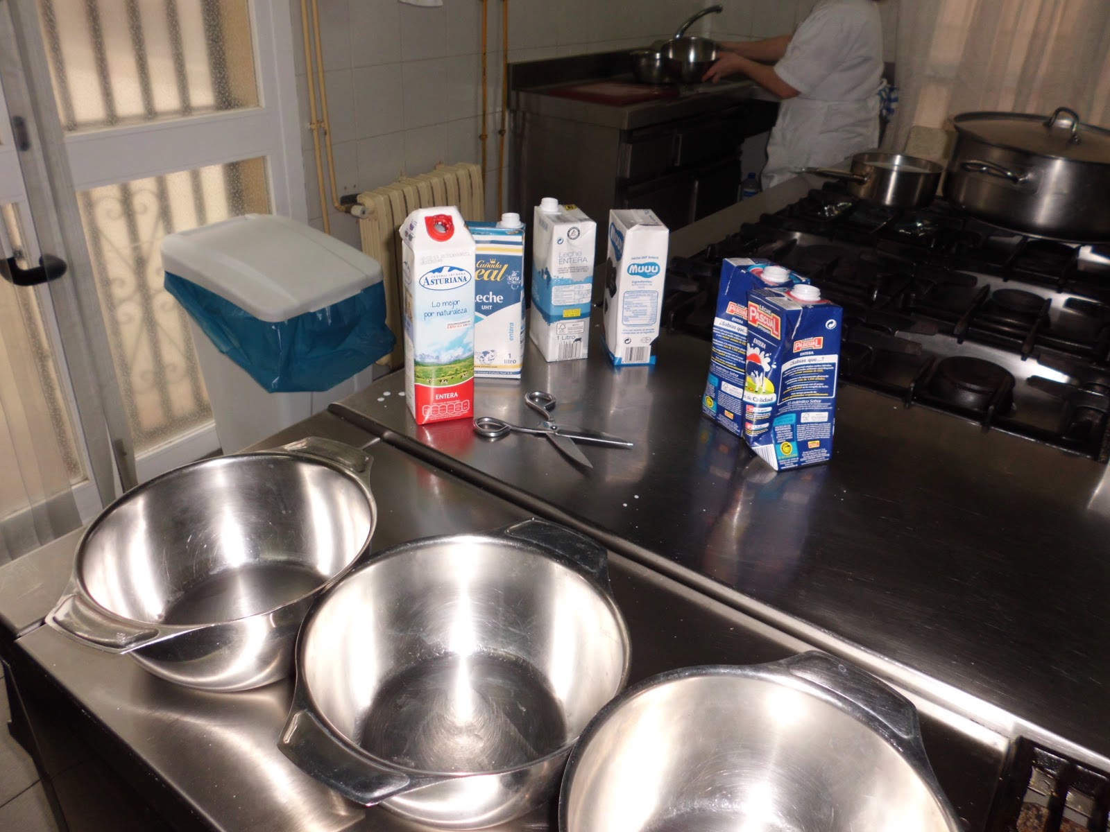 SCIENCE IN THE SCHOOL REPORT MAKING YOGHURT