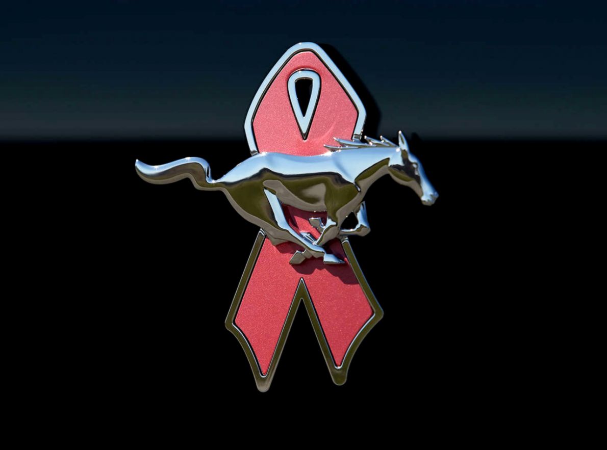 2008 Ford Mustang WIP Edition 2008 Ford Mustang WIP Edition