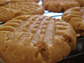 Peanut Butter Crisscross Cookie Closeup