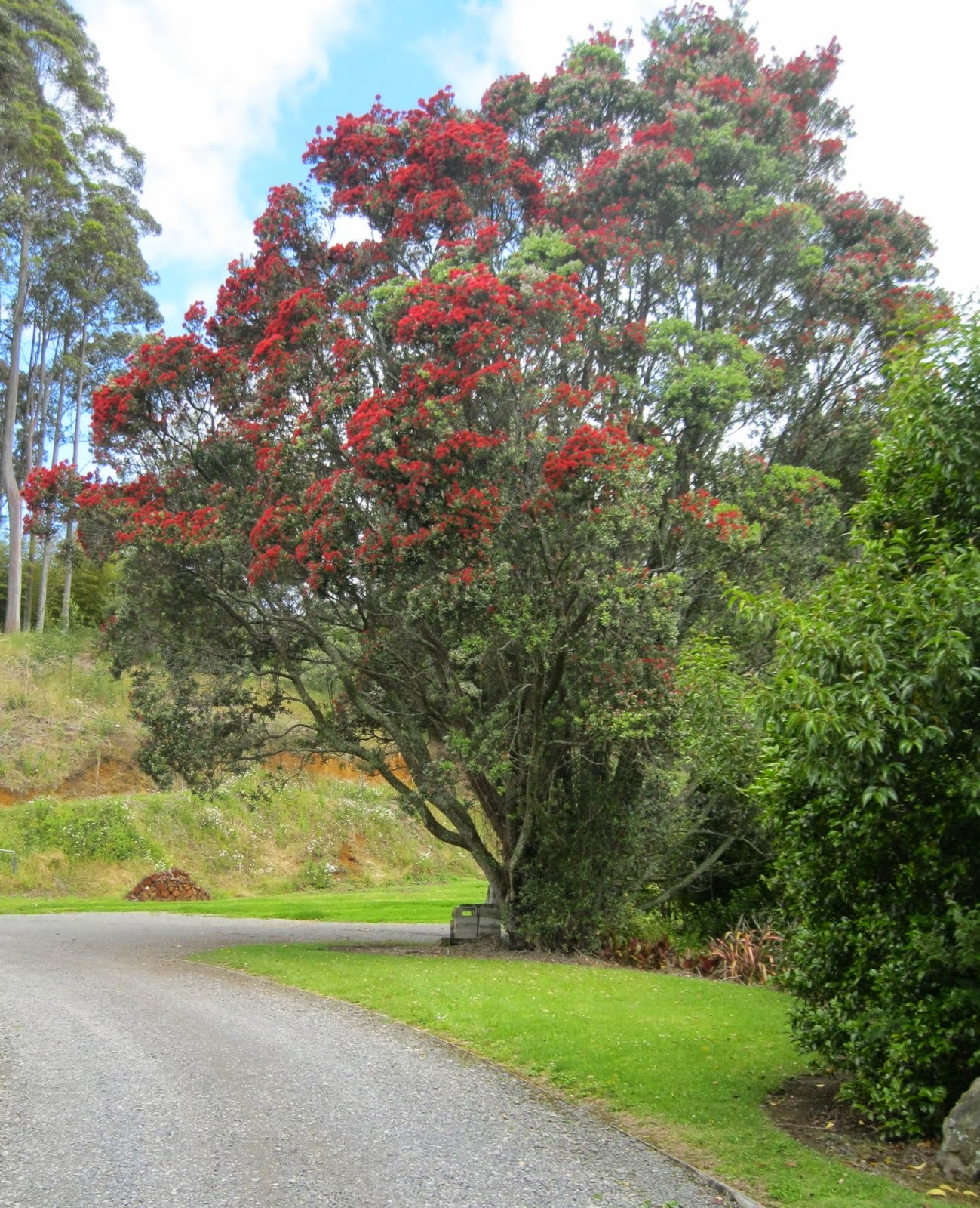 Quiltingorchardist New Zealand Christmas Tree.