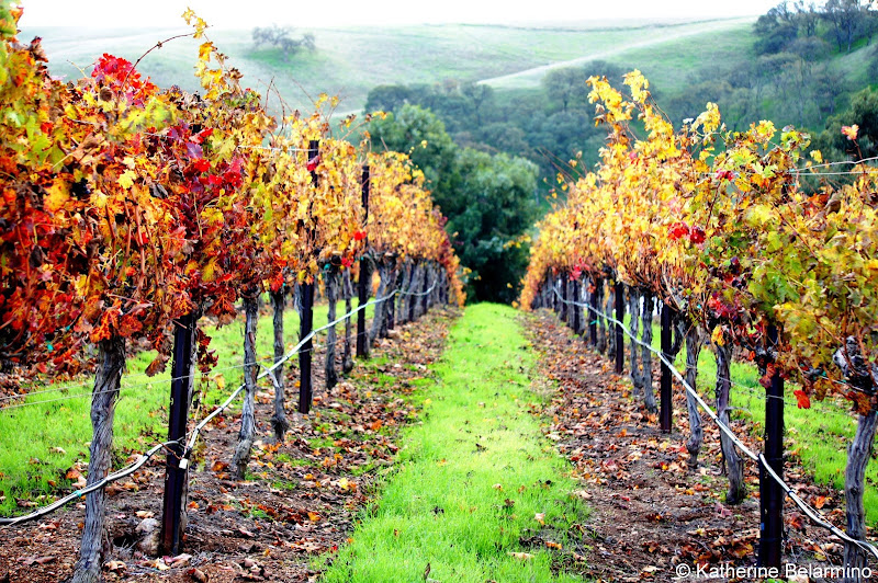 TriValley A Charming Northern California Weekend Getaway Travel the