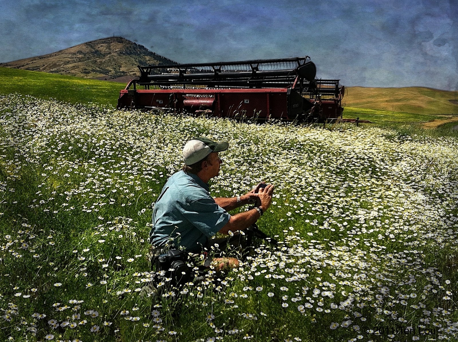 Artistic Adventurer Teri Lou Sharing your Passions with Friends