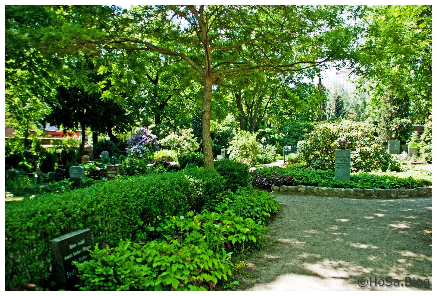 Friedhofe Mai 2015