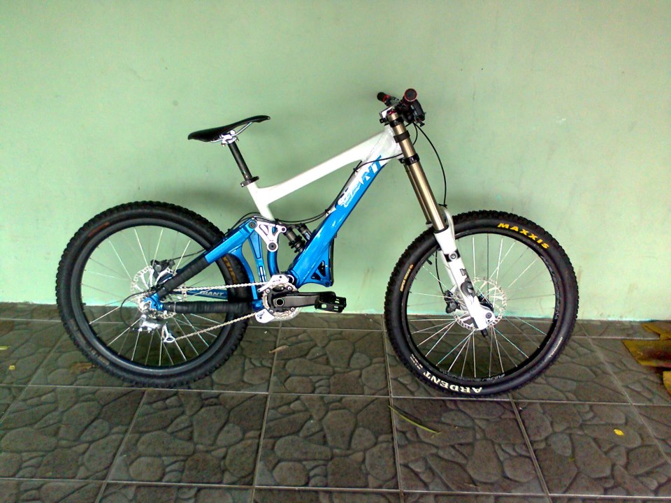 giant glory dh 8.8