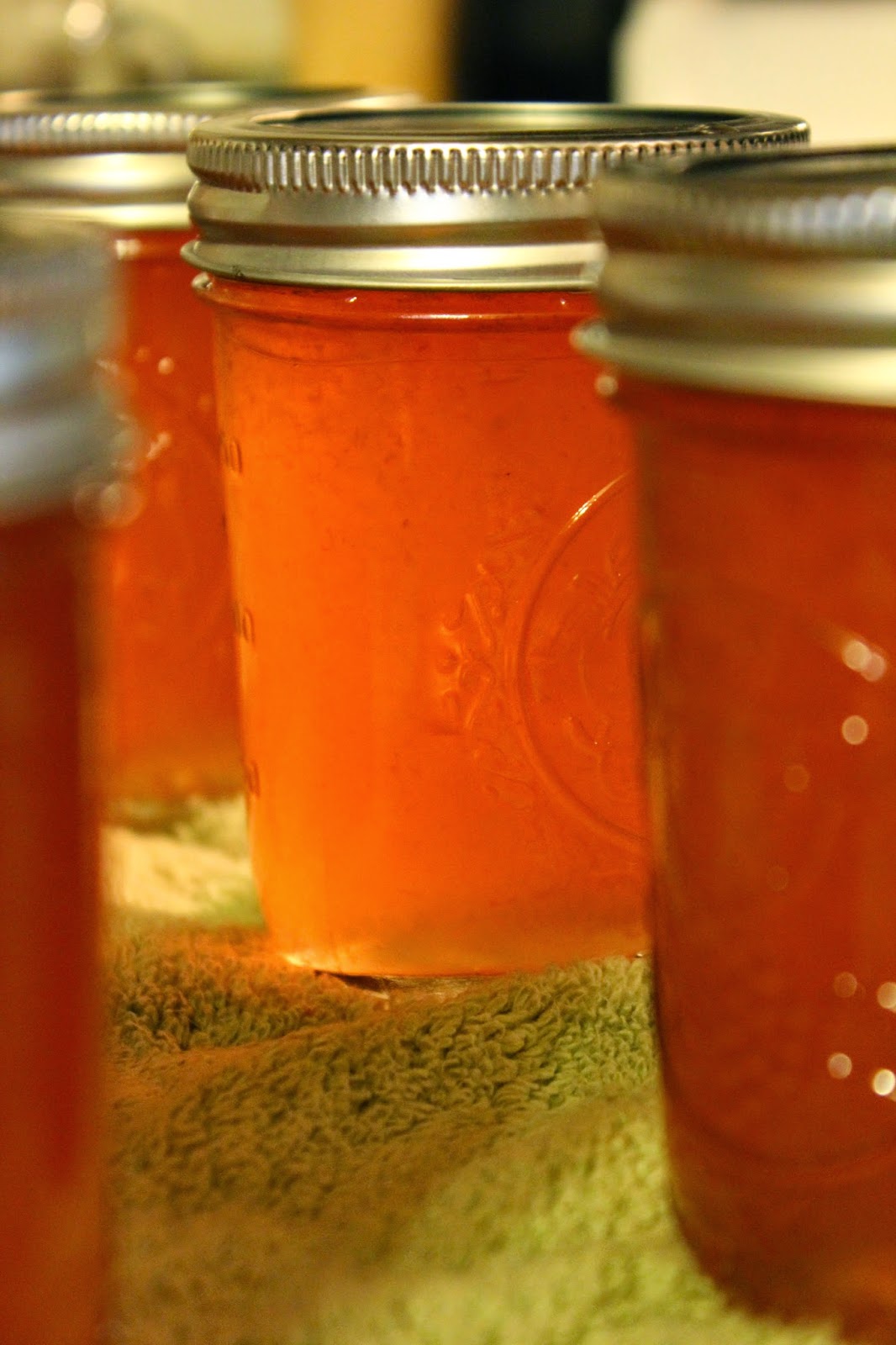 Reflections in the Window Peach Juice Jelly