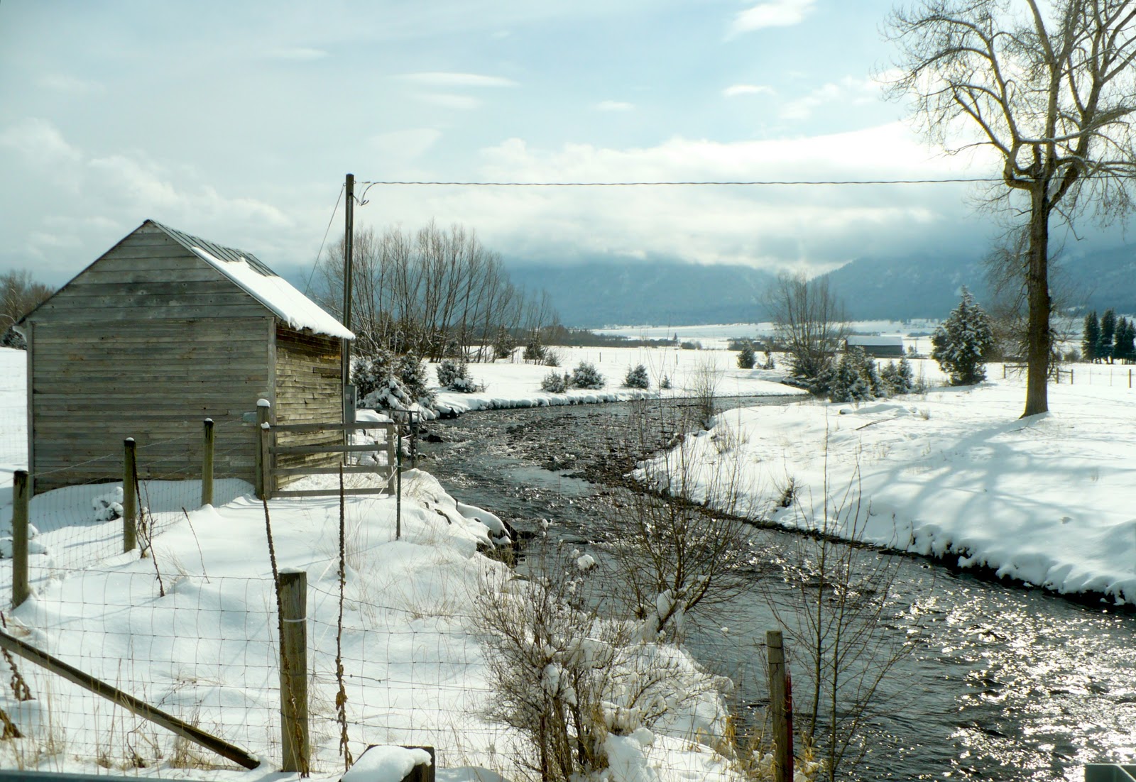Pin by Steve Klein on All Things Fly Fishing Scenery, Oregon