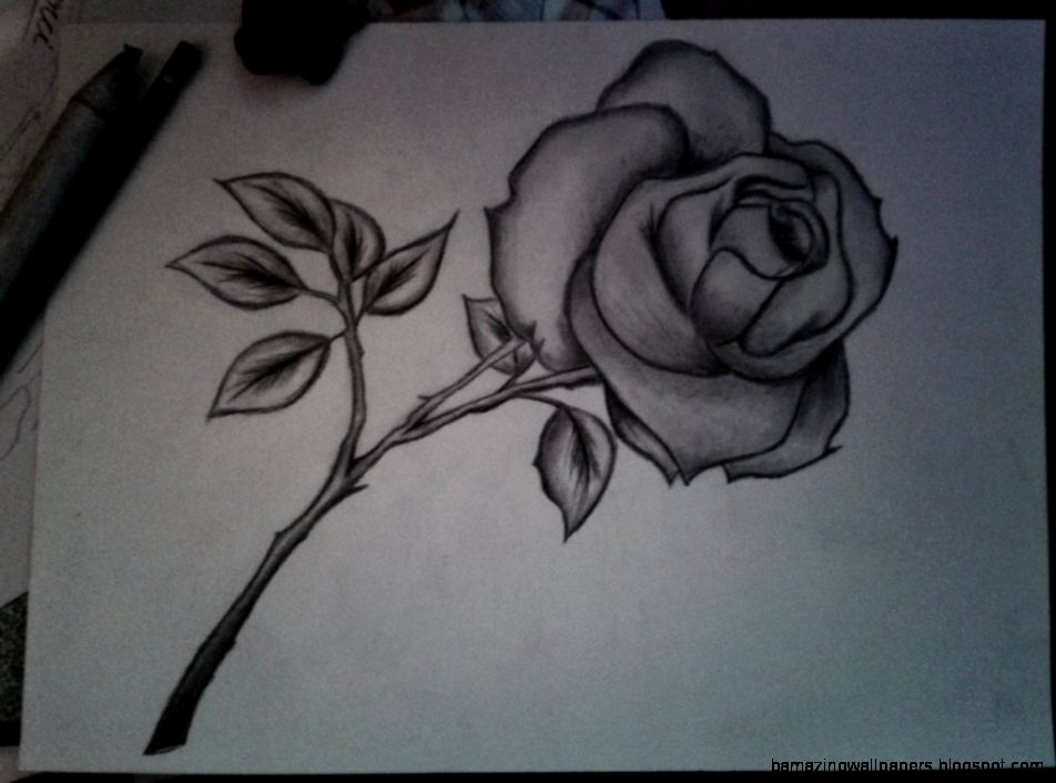 Pencil Drawings Of Flowers With Pictures  Bouquet Idea Pencil Drawings Of Flowers With Pictures  Bouquet Idea