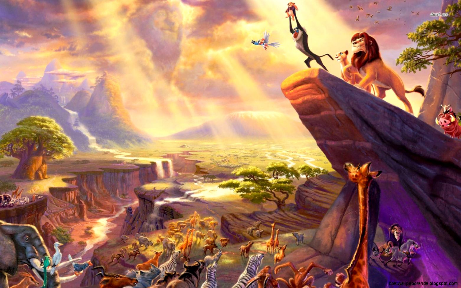 Collection of lion king wallpaper on Collection of lion king wallpaper on