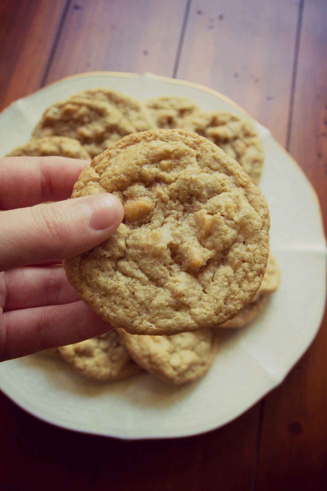 Lexalex Recipes Butterscotch Cookies (GF)