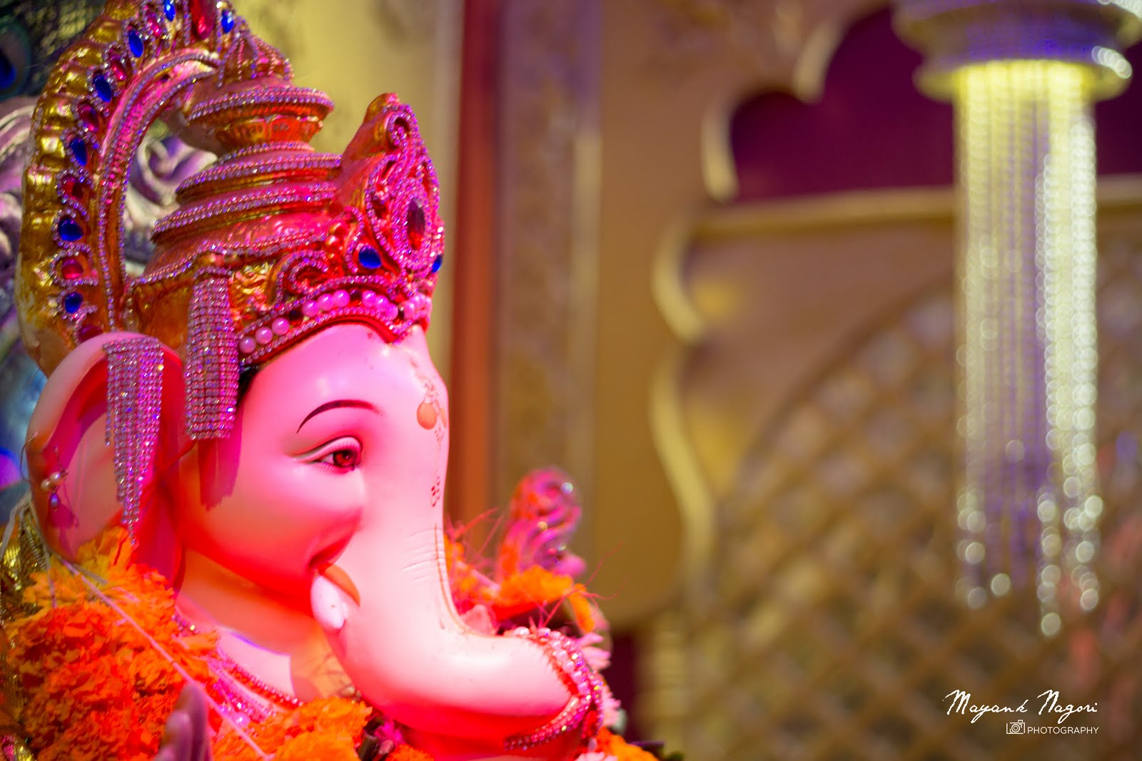 Ganpati Bappa 2016 | Mayank Nagori - Photographer