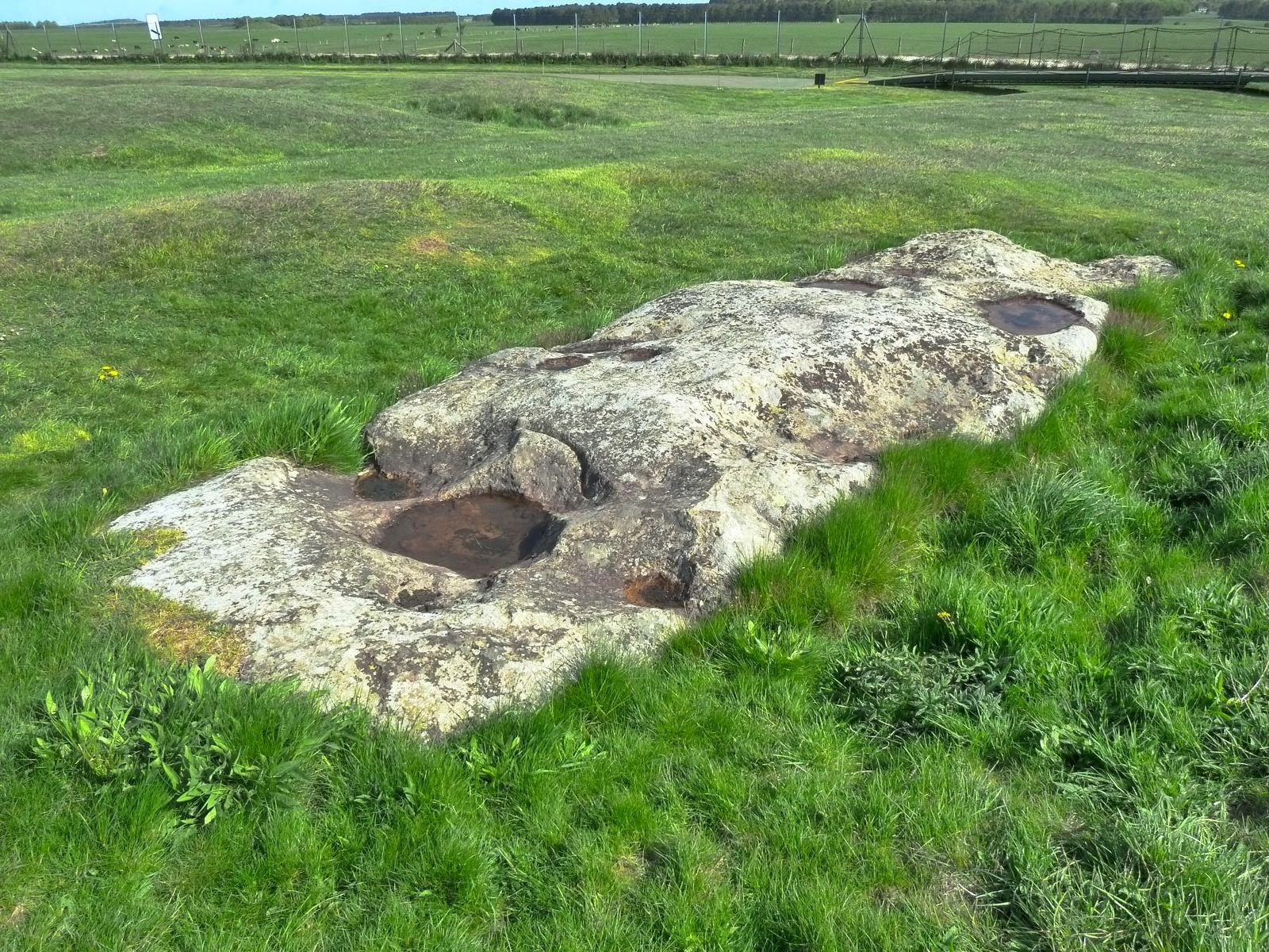 The Stones of Stonehenge Slaughter Stone (Stone 95)