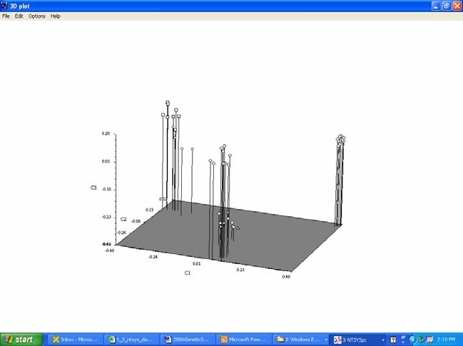 Ntsys Pc Version 2.2