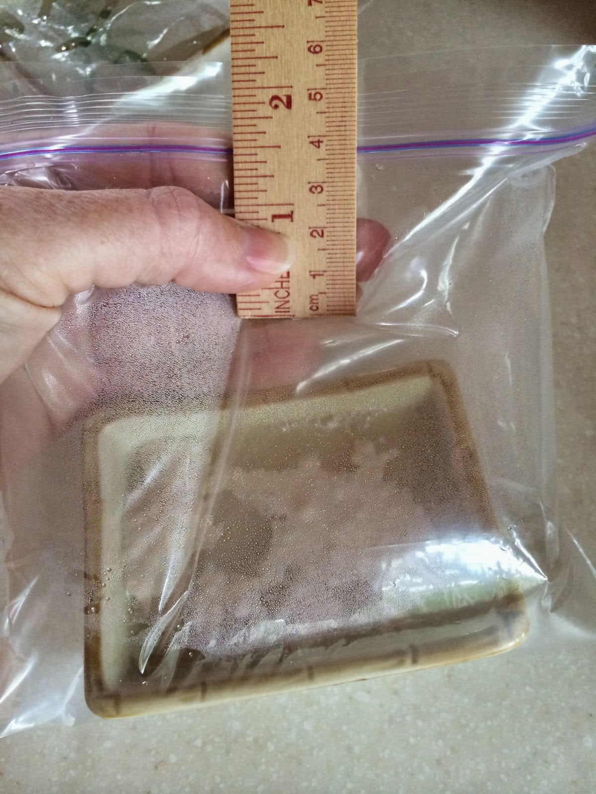 Spasms of Plastic Permeability Experiment the iScience Way