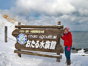 Otaru's aquarium by the sea