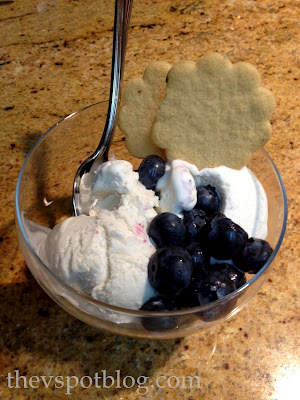 ice cream_vanilla_blueberries_dessert