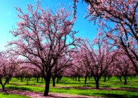 Инвестиции в ПАММ-счета. Итоги 109-й недели инвестирования