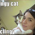 Clingy Cat: An Alternative Viewpoint