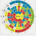 astrologer in delhi