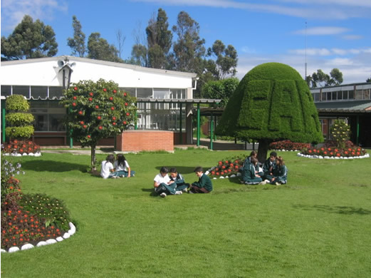 Biología Anglo americano 