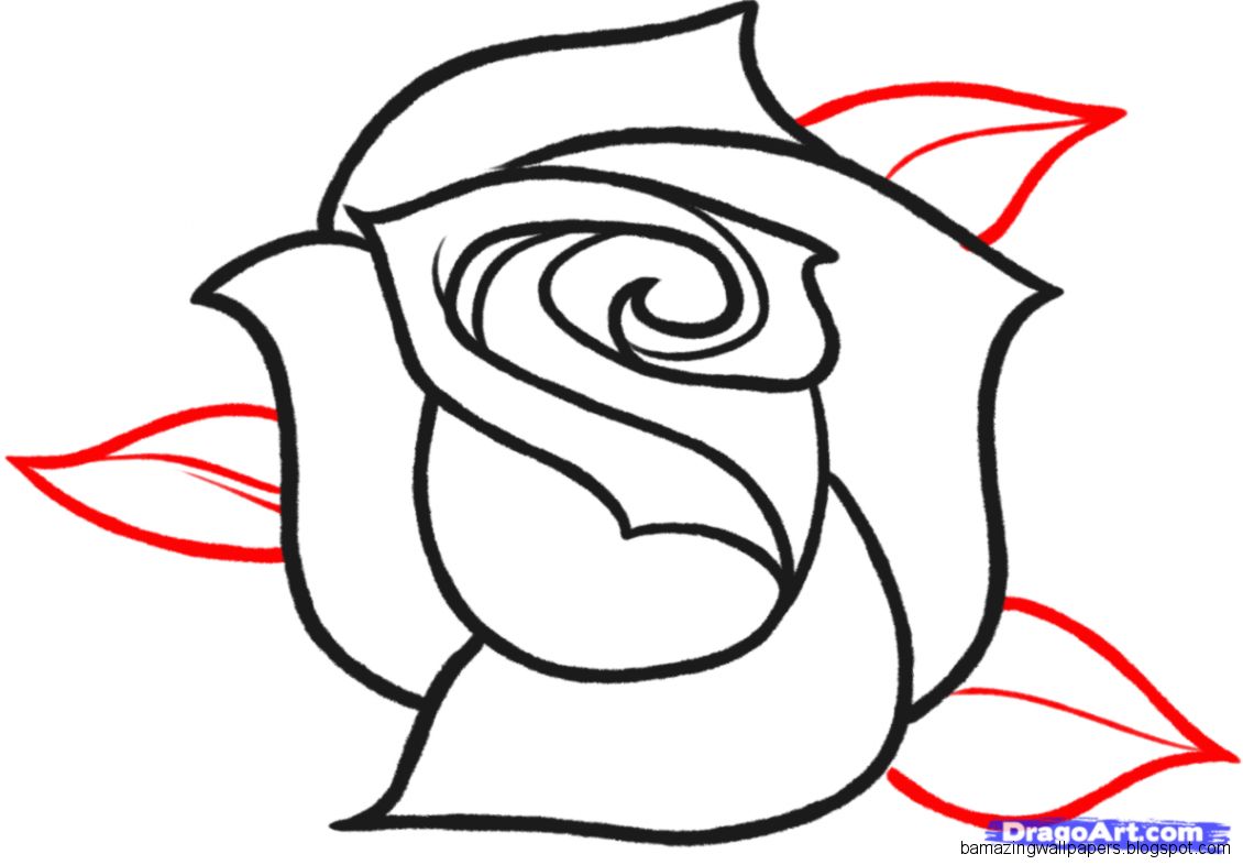 How to Sketch a Rose Step by Step Sketch Drawing Technique How to Sketch a Rose Step by Step Sketch Drawing Technique
