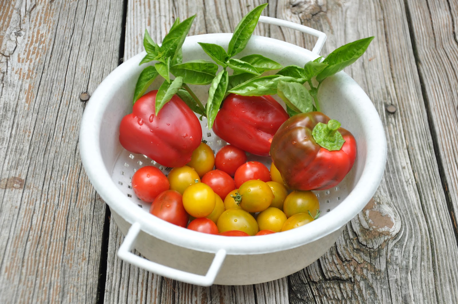 365 Days of DIY Fresh Tomato & Bell Pepper Pasta Salad