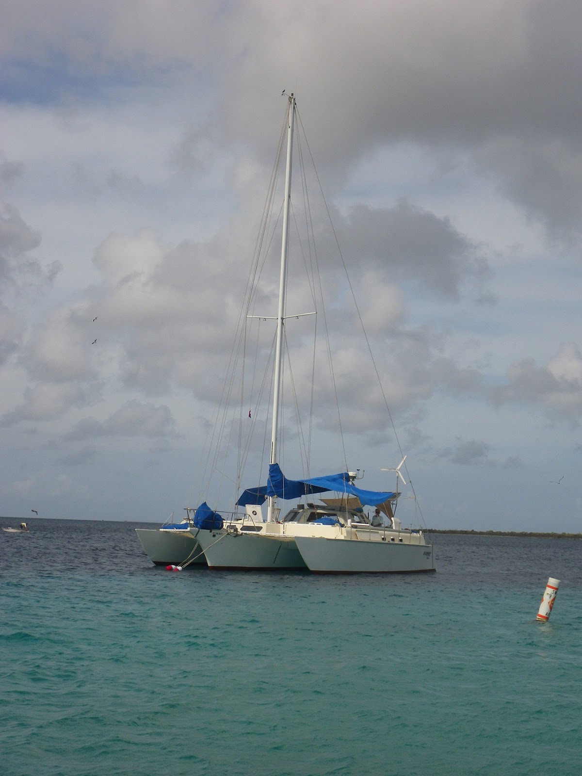 Starship Surf & Sail