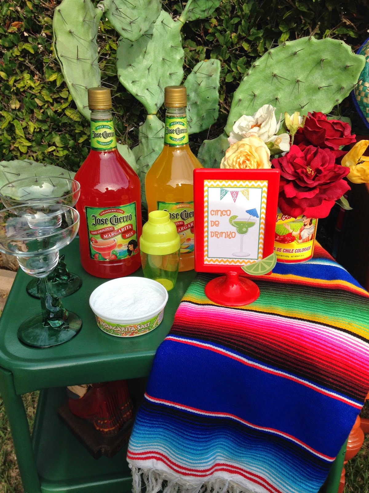 Cinco de Mayo fiesta! LAURA'S little PARTY