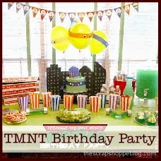 TMNT birthday party