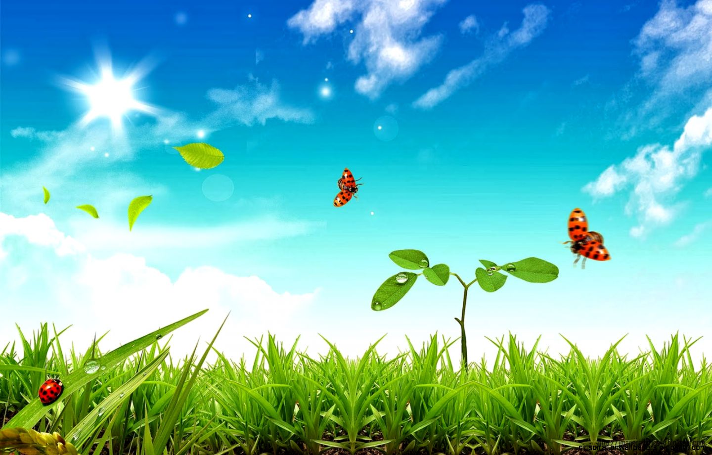 HD Wallpapers 1080p windows xp  Nice Pics Gallery HD Wallpapers 1080p windows xp  Nice Pics Gallery