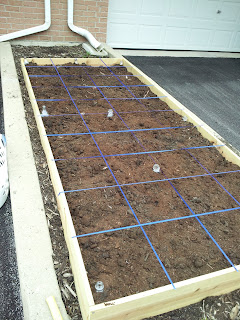 Kelly the Culinarian: A Look at My Square Foot Garden