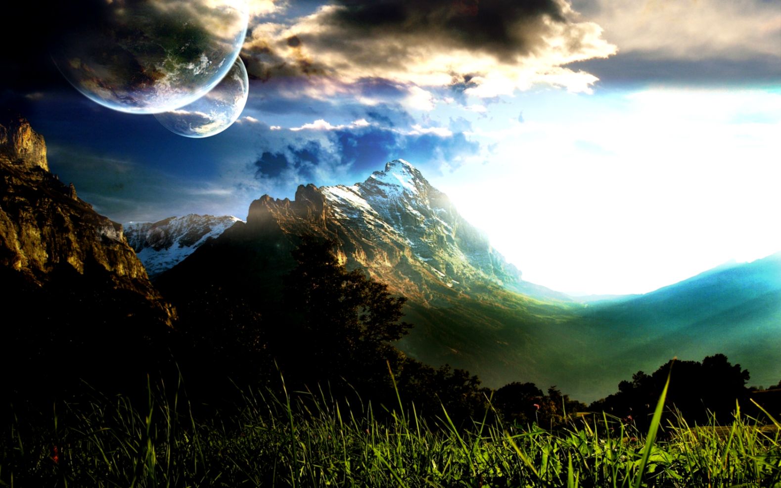 Beautiful Wallpapers Widescreen Desktop Funny 1680x1050 iWallHD Beautiful Wallpapers Widescreen Desktop Funny 1680x1050 iWallHD