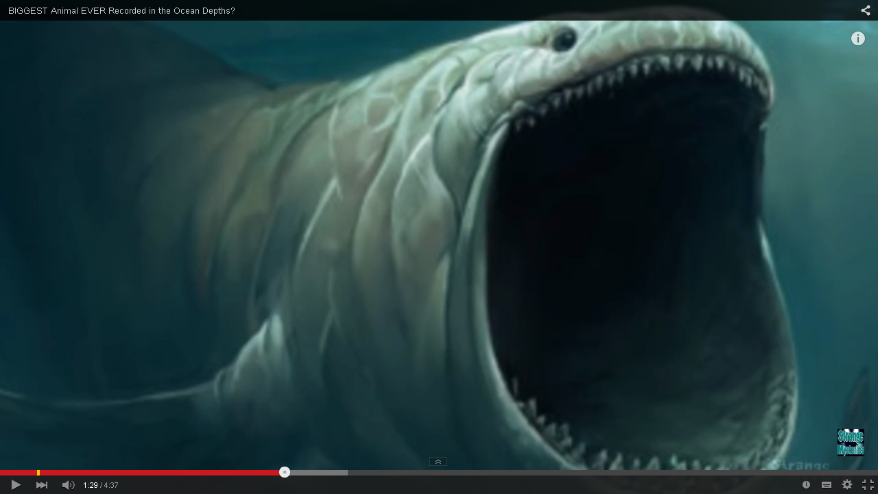 Gundhramns Hammer THE BLOOP A CRYPTID HIDING IN THE OCEAN DEPTHS?