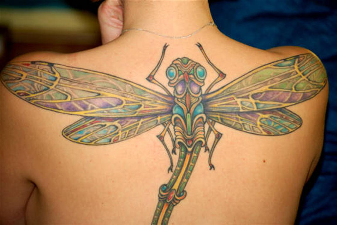 Traditional Dragonfly Tattoo Meaning - wide 2