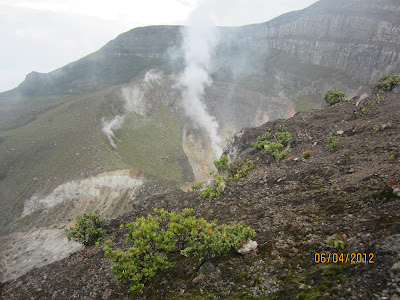 gunung gede ,gunung gede pangrango ,hotel di bogor ,hotel pangrango 2 ,hotel pangrango bogor ,pangrango 2 ,pangrango 2 bogor ,pangrango sukabumi ,puncak pangrango ,taman nasional ,pangrango bogor ,hotel pangrango ,gunung pangrango ,hotel bogor