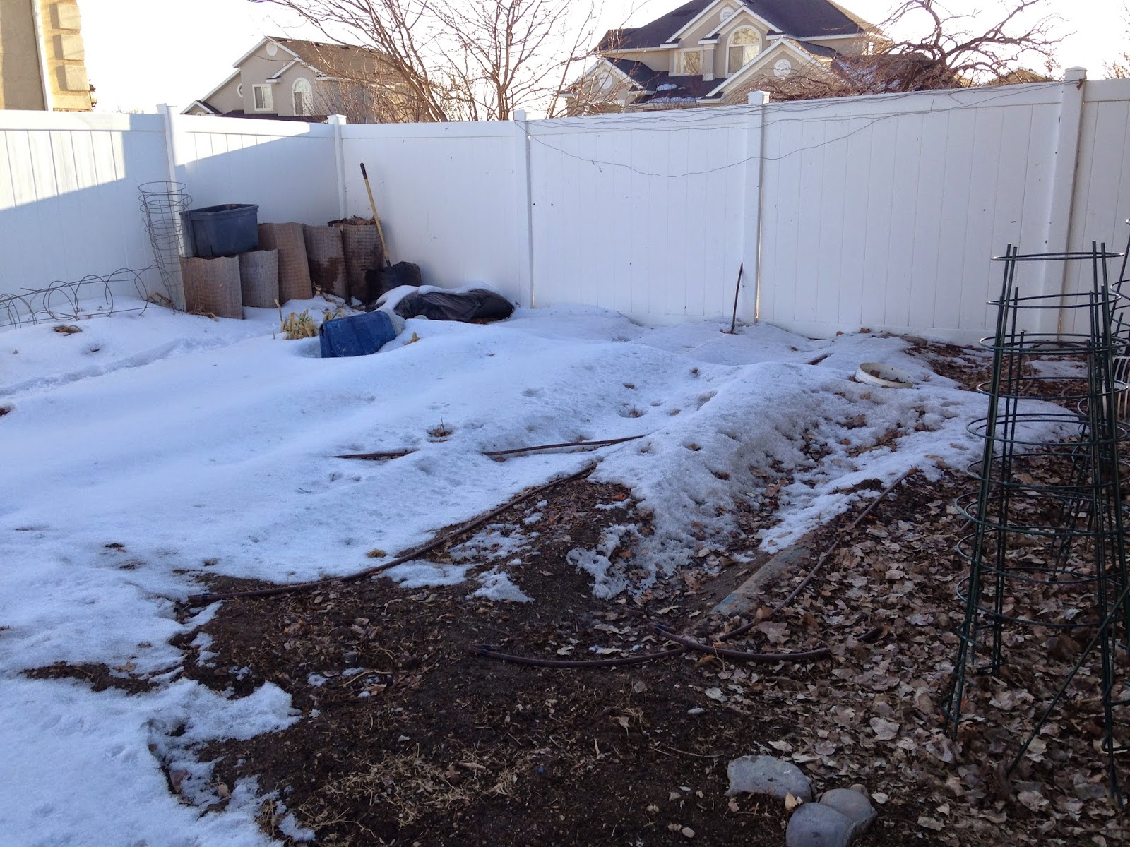 My Family Prepared How To Store Carrots In The Ground Over Winter