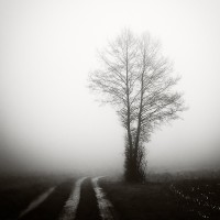 faire des rencontres tours