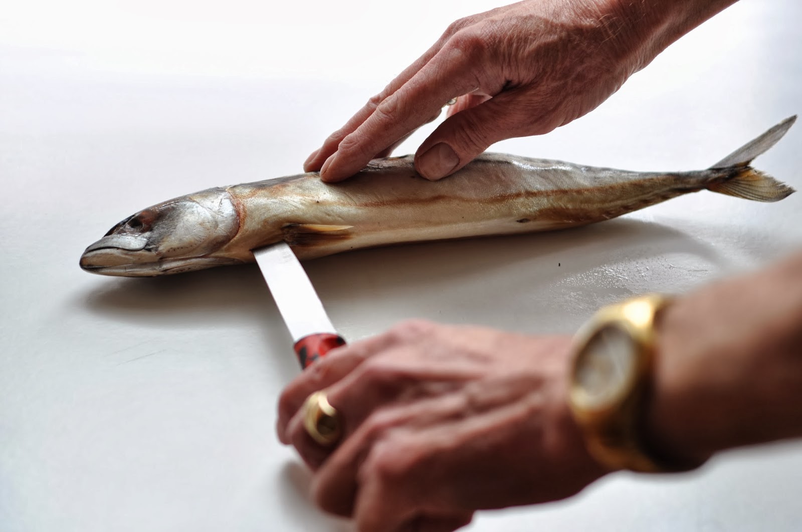 Simple Food Poached Mackerel with Mushroom and Fennel Sauce