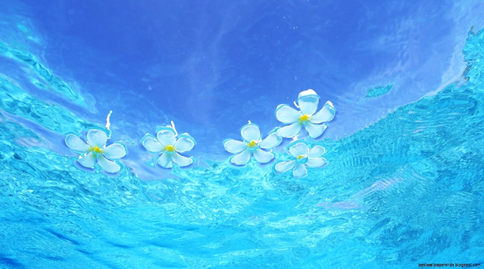 Clear Ocean Water Desktop Wallpaper Clear Ocean Water Desktop Wallpaper