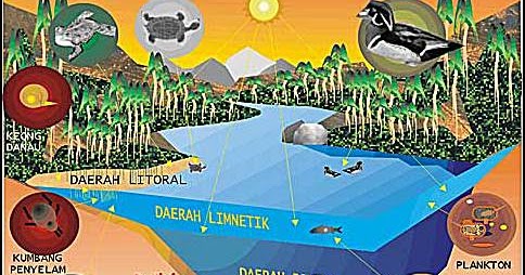 Mengenal Ekosistem Air Tawar