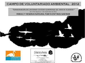 CAMPO DE VOLUNTARIADO 2012