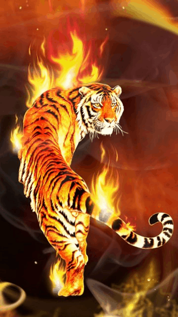 Animation 065 By Maik74 065 Maik74 Tiger Yyadqbzb Gif 360 640 Animals Images Live Wallpapers Tiger