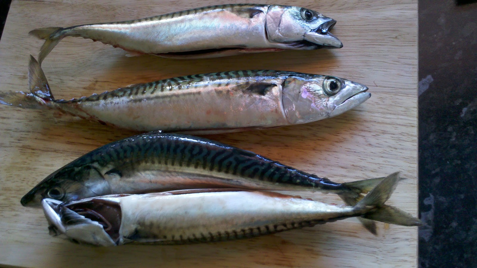 COMFORT BITES BLOG Japanese Style Teriyaki Mackerel