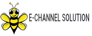 e-Channel Solution