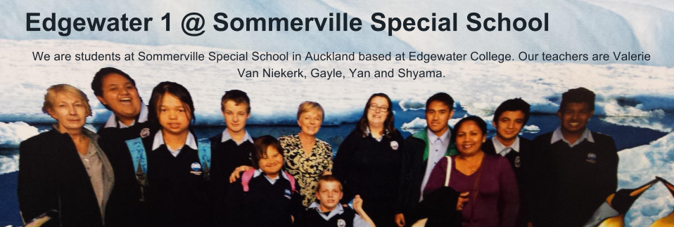 Edgewater 1 @ Sommerville Special School 2015