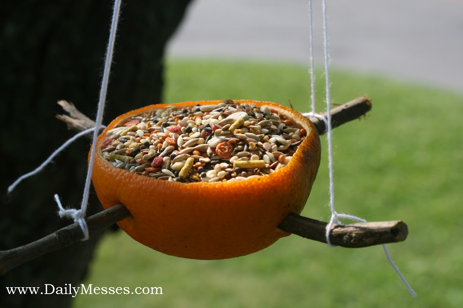 Daily Messes Orange Bird Feeder