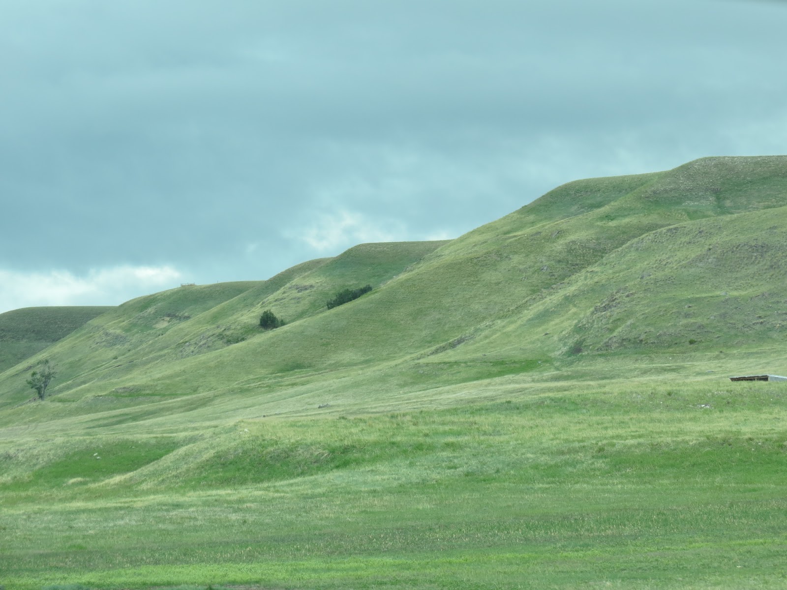 Where's Liz2012? Big Timber, Montana