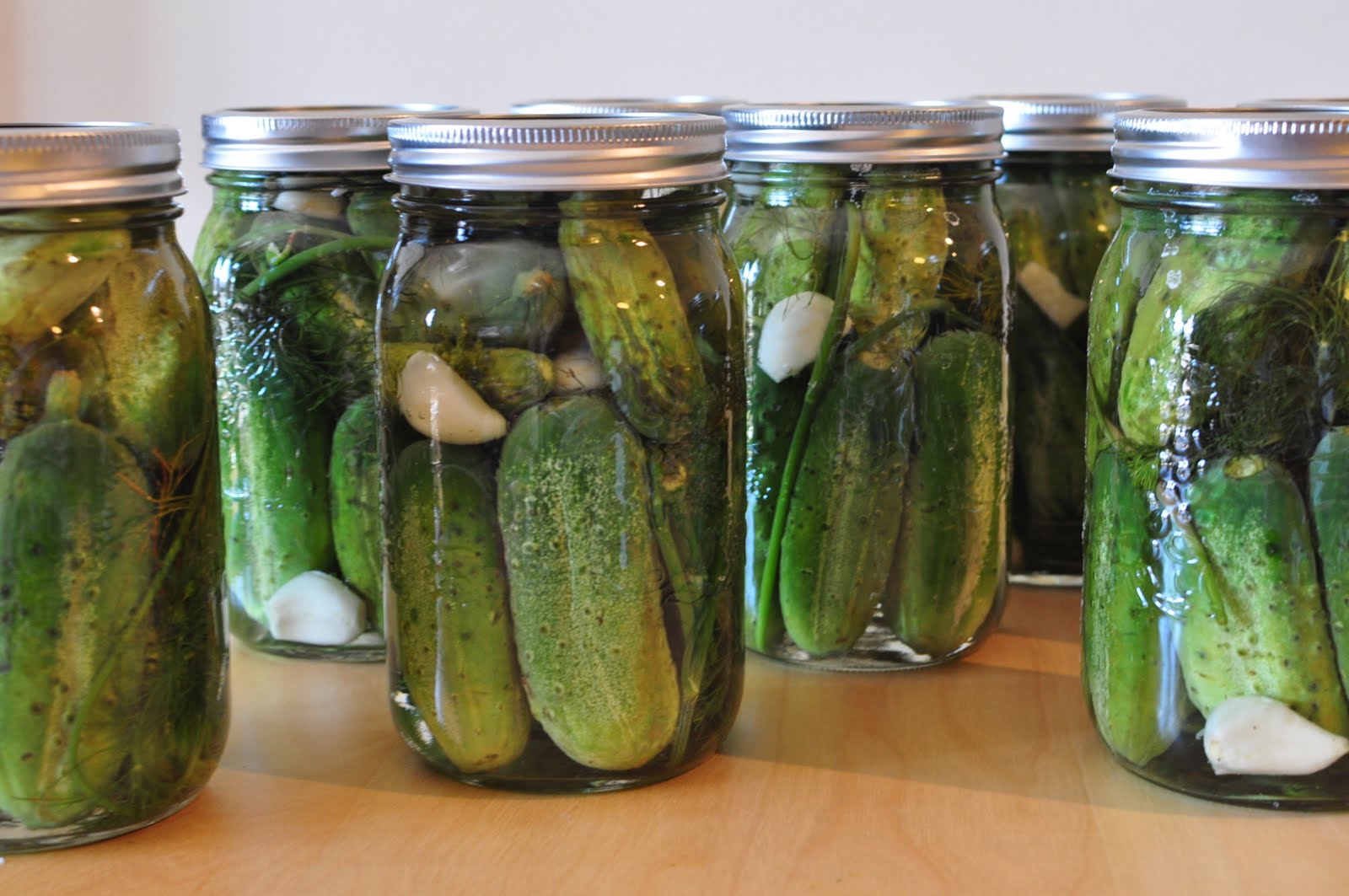 My Tiny Oven Dill Pickles